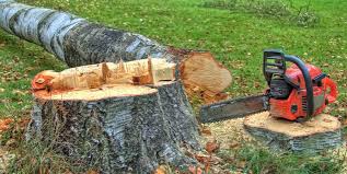 Best Tree Preservation Services  in Ledgewood, NJ