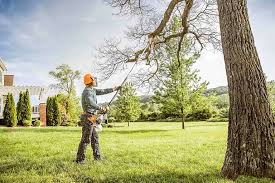 Best Firewood Processing and Delivery  in Ledgewood, NJ