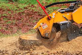 Best Organic Lawn Care Solutions  in Ledgewood, NJ