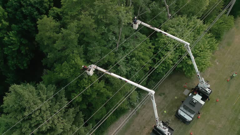 Best Arborist Consultation Services  in Ledgewood, NJ